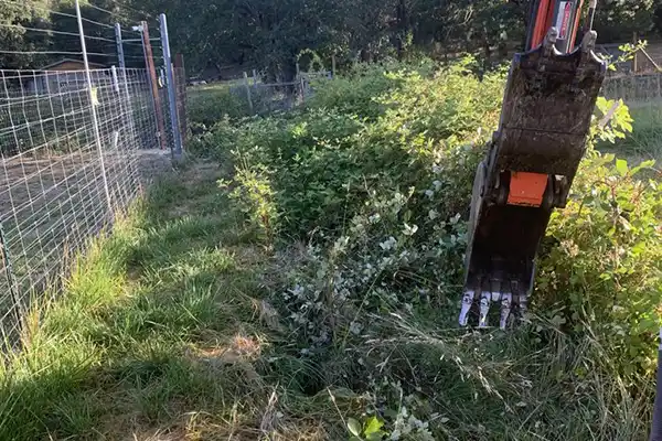 Land Clearing Land Clearing