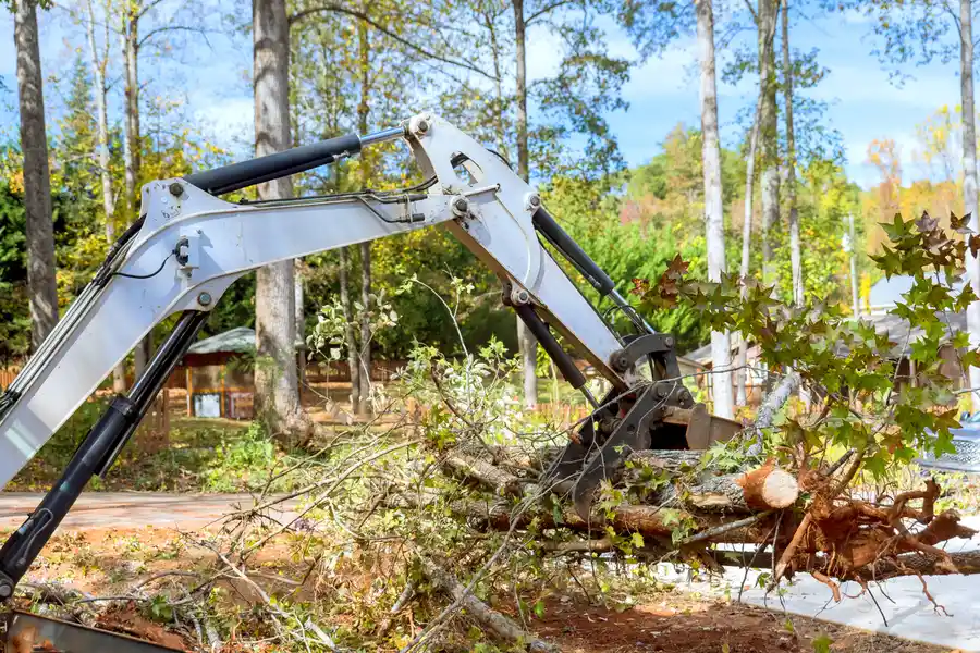 Excellent Land Clearing Medford, OR