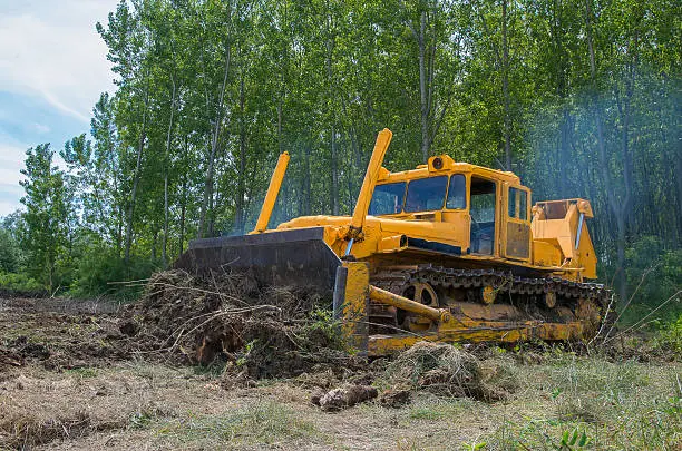 Why Land Clearing Is Key For Agricultural And Farming Projects in Medford, OR
