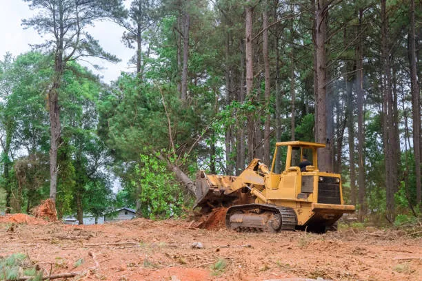 Why Professional Land Clearing Is Crucial For Site Preparation in Medford, OR